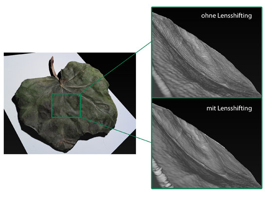 Leaf (without and with lenseshifting), scanned with Meso-Scanner V1 © 3D model: Fraunhofer IGD